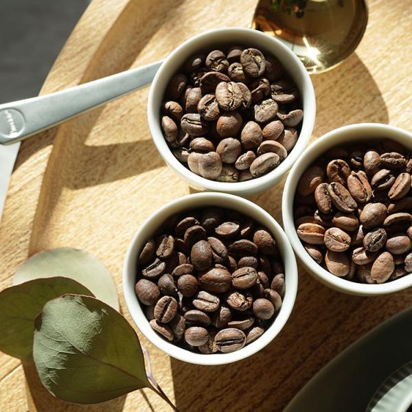 スペシャルティーコーヒー豆・粉 3種600g / 変わり種3種飲み比べセット / コロンビア・コスタ...