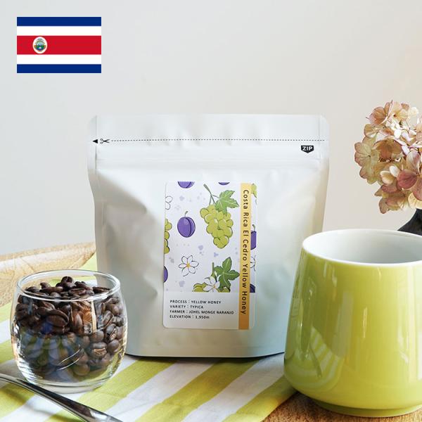 スペシャルティコーヒー豆・粉 / コスタリカ エル・セドロ農園 サン・イシドロ・ラブラドール 100...