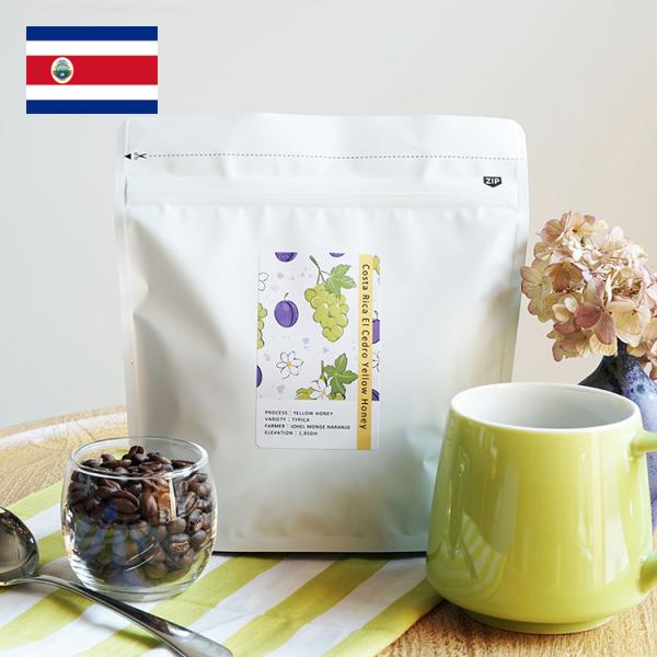 スペシャルティコーヒー豆・粉 / コスタリカ エル・セドロ農園 200g / ティピカ / イエロー...