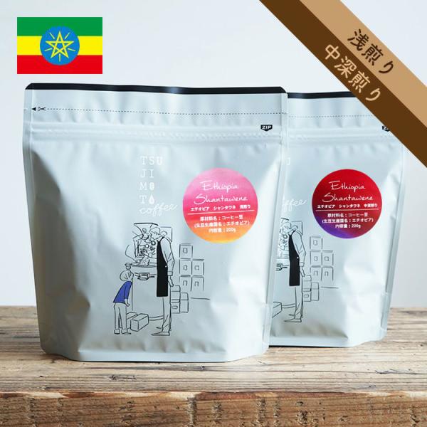 スペシャルティコーヒー豆・粉 / エチオピア シダモ ベンサ シャンタワネ CWS 1kg（200g...