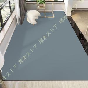 マット ペット用 滑り止め 消臭 防水マット ペットマット PVC拭き ペット 犬 猫 防水 洗える 薄手 汚染防止 怪我防止 滑りやすい家 簡易手 滑りやすいスリッパ