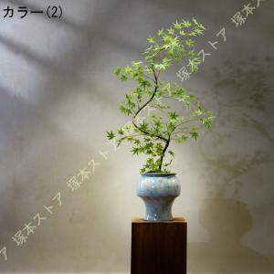 フェイクグリーン 卓上 楓の木 禅の装飾品 人...の詳細画像2