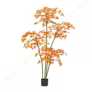 210cm 人工観葉植物 紅葉 楓 もみじ フ...の詳細画像5