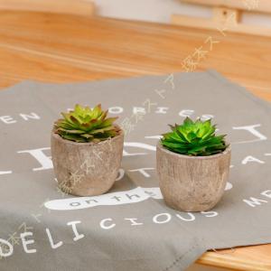 エアプランツ ティランジア アソート 10個 セット 造花 フェイク