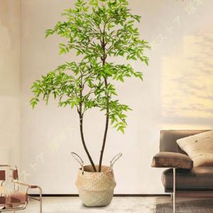 IKEA フェイカ　180cm Amazon｜IKEA/イケア FEJKA/フェイカ：人工観葉植物180 cm