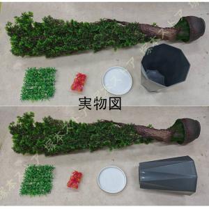 フェイクグリーン 松 造花 人工植物 観葉植物...の詳細画像3