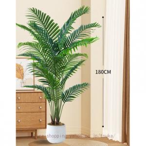 大型 人工観葉植物フェイクグリーン 熱帯のヤシ...の詳細画像5