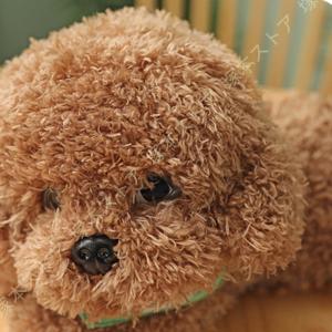 トイプードル 犬 おもちゃ リアル 犬のぬいぐ...の詳細画像5