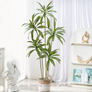 観葉植物 フェイクグリーン ドラセナ 風水 観...の詳細画像1