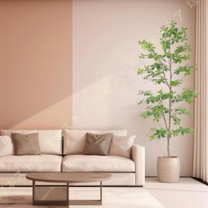 観葉植物 フェイクグリーン パキラ 金のなる木...の詳細画像1