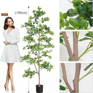 観葉植物 フェイクグリーン パキラ 金のなる木...の詳細画像2