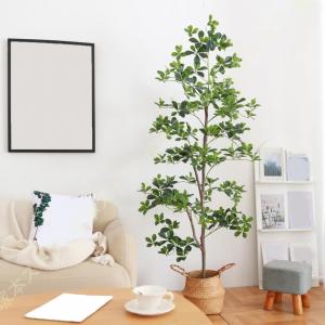 観葉植物 フェイクグリーン パキラ 金のなる木...の詳細画像3