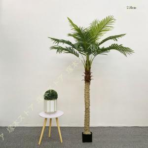 人工観葉植物 フェイクグリーン ヤシの木 イン...の詳細画像5