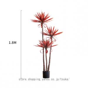フェイクグリーン 大型 人工観葉植物 ユッカの...の詳細画像4