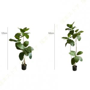 幸福の樹 ゴムの木 人工観葉植物 フェイクグリ...の詳細画像2