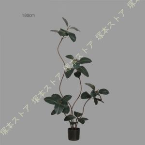 人工観葉植物 ゴムの木 フェイクグリーン 虫が...の詳細画像5