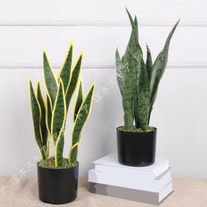 人工観葉植物 サンスベリア フェイクグリーン 観...の商品画像