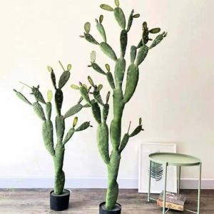 人工観葉植物 フェイクグリーン 観葉植物 コー...の詳細画像1
