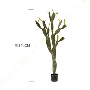 人工観葉植物 フェイクグリーン 観葉植物 コー...の詳細画像3