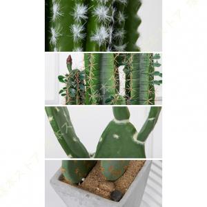 人工観葉植物 フェイクグリーン 観葉植物 コー...の詳細画像5