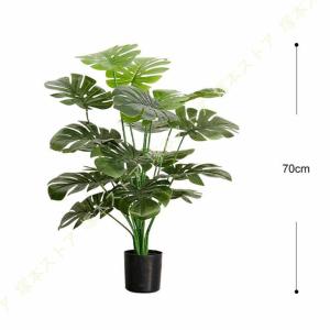 モンステラ 観葉植物 アジアン インテリア フ...の詳細画像3