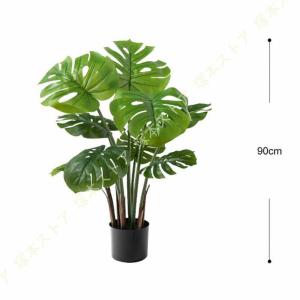 モンステラ 観葉植物 アジアン インテリア フ...の詳細画像4