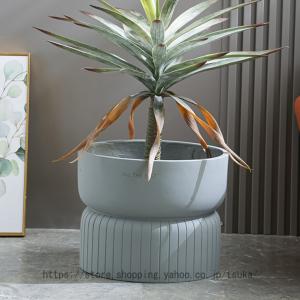 ◇京楽焼窯元「愛楽園」直送◇『万年青鉢（おもと鉢） 虎・新龍・鳳凰