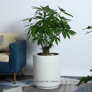 陶器鉢 植木鉢 ホワイトポットスクエア型 Mサイズ 直径13cm×高さ13cm