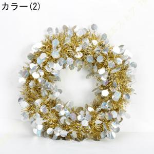クリスマス オーナメント ドライフラー リース...の詳細画像2