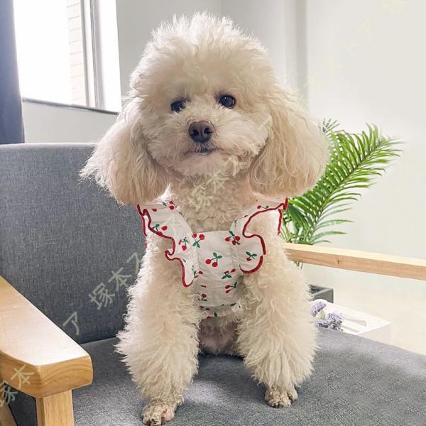犬 服 犬服 ペットウェア いぬ 犬の服 夏服 通気 涼しい タンクトップ 袖なし ノースリーブ 袖...