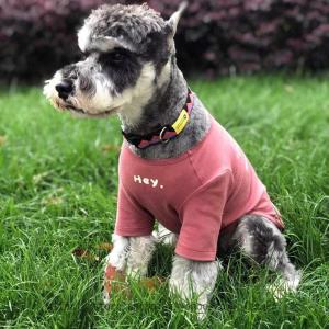 ペット服 犬服 柔らかい tシャツ 小型犬 男の子 女の子 可愛い タンクトップ 犬の服 猫の服 春夏プルオーバー 犬用 わんこ服 通気 散歩 お出かけ 吸水 速乾