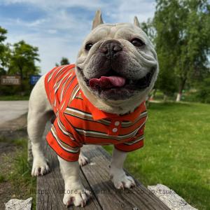 犬服 ペット服 可愛い Tシャツ 春夏 犬の服 チワワの服 タンクトップ ドッグウェア ペットウェア ベスト パジャマ カップ ル服 スポーツ服 犬猫洋服 シンプル