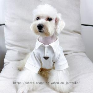 犬服 春夏 tシャツ 男の子 可愛い 夏 通気 涼しい 伸縮性 速乾 小型 中型犬 猫 お散歩 タンクトップ ドッグウェア 犬の服 快適 ペット用品 着せやすい 夏服犬