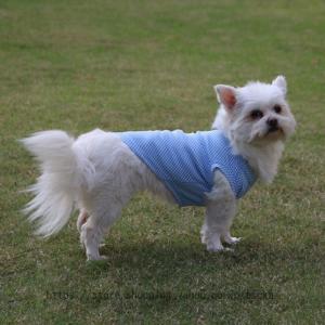 ペット服 犬服 柔らかい tシャツ 小型犬 男の子 女の子 可愛い タンクトップ 犬の服 猫の服 春夏プルオーバー 犬用 わんこ服 通気 散歩 お出かけ 吸水 速乾