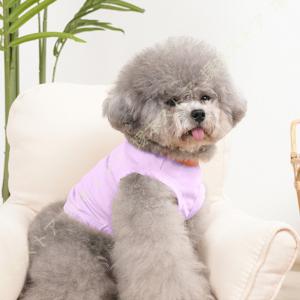 ペット 犬服 Tシャツ 春 秋 夏 可愛い 涼...の詳細画像4