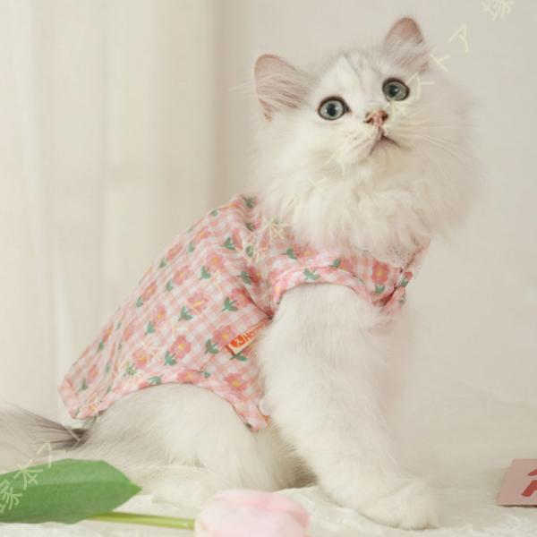 犬服 犬の服 春夏用 夏用 タンクトップ 犬 服 ペットウェア ドッグウェア ペット服 ノースリーブ...