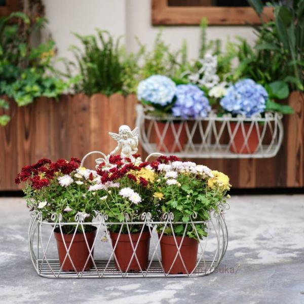 壁掛け棚 植木鉢収納ラック 丈夫な植木鉢ハンギングバスケット 植物用壁掛けラック 窓枠 家庭 オフィ...