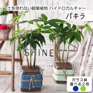生け花用剣山 ゴム付 七宝 つづみ型 三つ輪 107×90mm 鉛 花