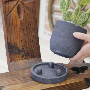 観葉植物 サボテン バニーカクタス 白桃扇 ゴ...の詳細画像4