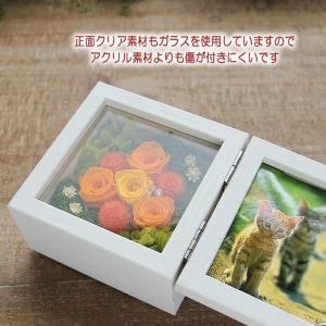 プリザーブドフラワー 花 ギフト プレゼント ...の詳細画像4