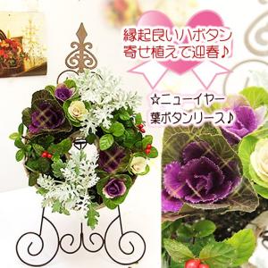 送料無料　正月飾り  迎春飾り ニューイヤー葉牡丹の寄せ植えリース　ハボタン