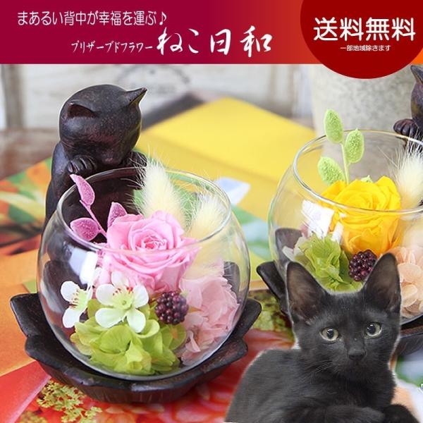プリザーブドフラワー 花 ギフト プレゼント ねこ日和 猫 ケース入り 迎福 招き猫  誕生日 お礼...