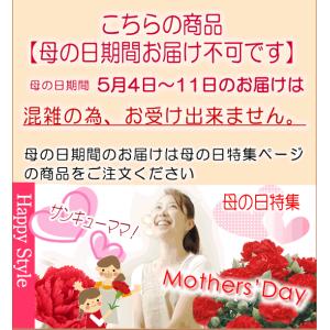 パンダガジュマル 白丸陶器鉢 観葉植物 送料無...の詳細画像5