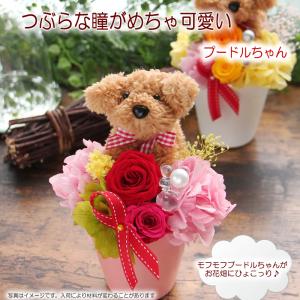 プリザーブドフラワー 母の日 プレゼント 花 ...の詳細画像1