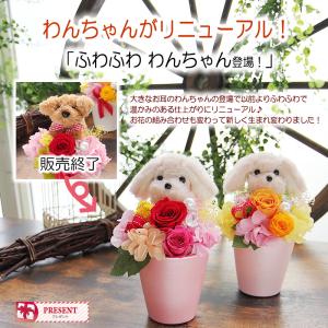 プリザーブドフラワー 花 ギフト プレゼント ...の詳細画像1