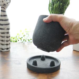 モコモコ育つ セレウスペルヴィアヌス 黒丸三足...の詳細画像5