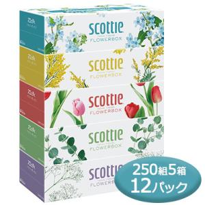 【法人・企業様限定販売】スコッティ ティシュー フラワーボックス 250組 5箱パック ×12パック scottie ティッシュペーパー 送料無料 00085｜tsukasa1