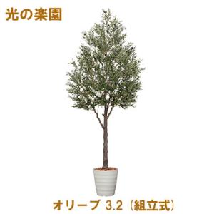 【個人様購入可能】●光の楽園 (2124A3500-74) オリーブ 3.2 (組立式) 送料無料 ...