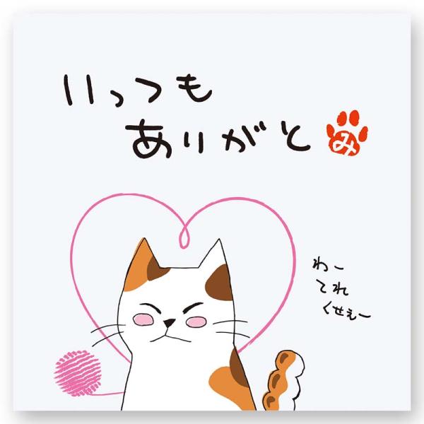 みたらしちゃん　緑茶一煎パック　「いつもありがとう」