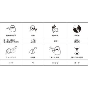 みたらしちゃん 緑茶一煎パック 「感謝状」の詳細画像4